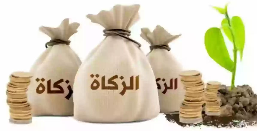  الإفتاء توضح حكم من نسى إخراج زكاة الفطر في موعدها