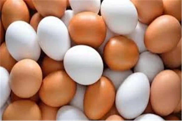 أسعار البيض اليوم الخميس 15 أكتوبر 
