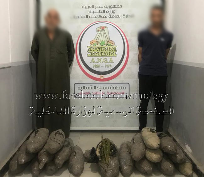 مواصلة الضربات الأمنية ضد مروجى المواد المخدرة .. ضبط 4 عناصر إجرامية لقيامهم بالإتجار فى المواد المخدرة ، وبحوزتهم 50 كيلو جرام لمخدر البانجو 11