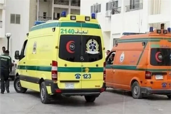  مدمن مخدرات يقتل والده في قنا  