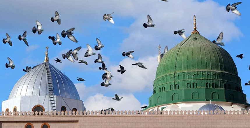  هل ورد أن النبي بكى شوقًا لرؤية أمَّته من بعده؟