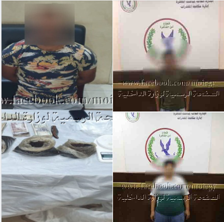 جهود أجهزة البحث الجنائى بمديرية أمن القاهرة فى ضبط جرائم الإتجار فى المواد المخدرة 
