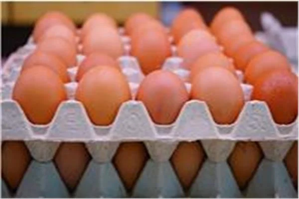 أسعار البيض اليوم السبت 29 أغسطس 