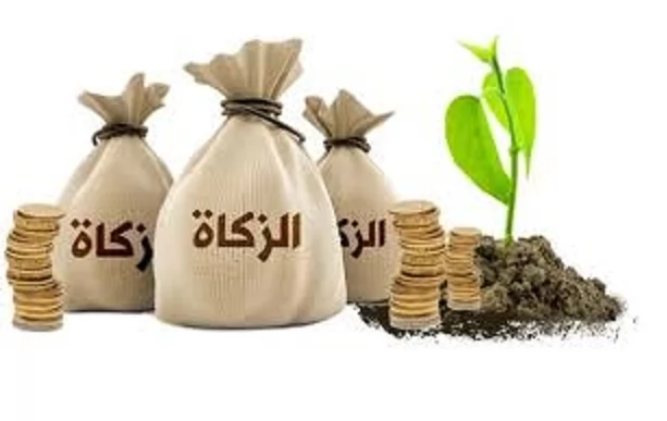 حكم زكاة الأسهم المدخرة